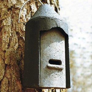 Lepakonpönttö Schwegler Bat Box 2F